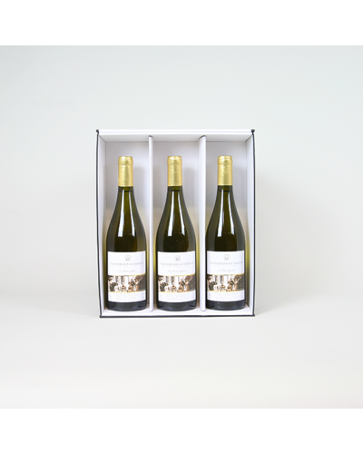 Insert for 3x bottles box