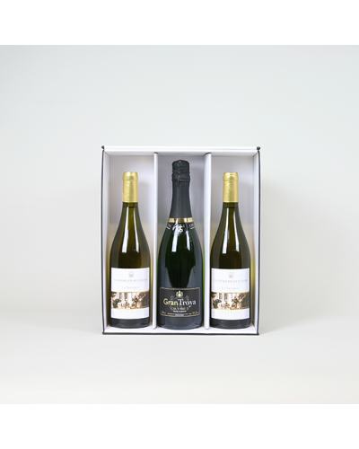 Insert for 3x bottles box