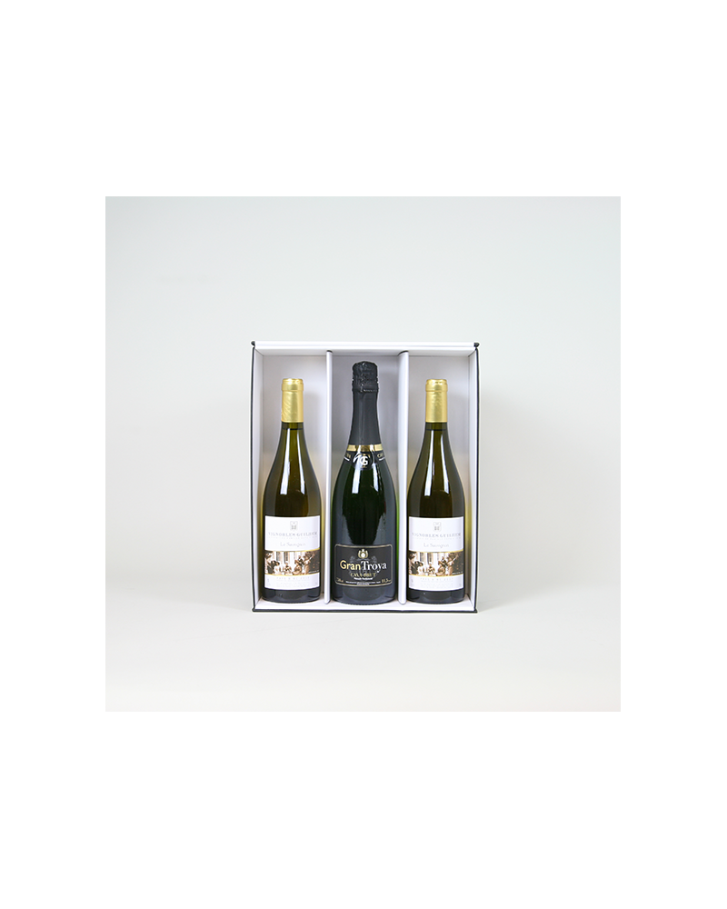 Insert for 3x bottles box