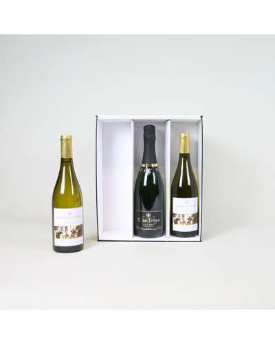 Insert for 3x bottles box