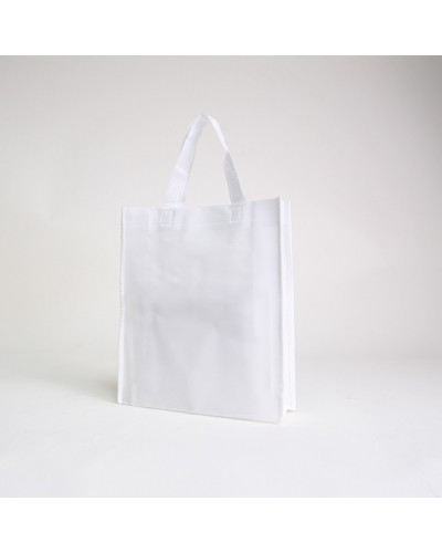 Non-woven handle LUS fabric bag