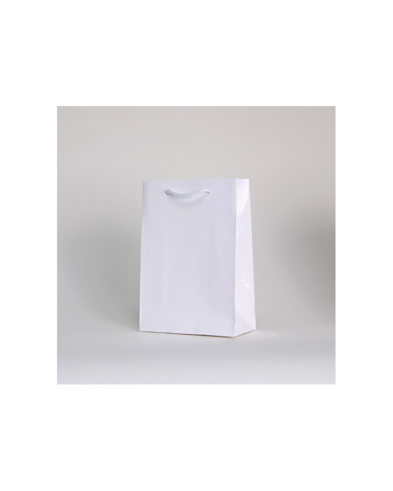 Laminated paper bag