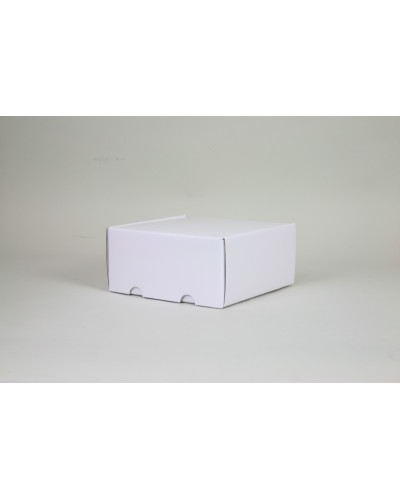 SHIPPING BOX laminated POSTPACK (SUITABLE FOR WONDERBOX AND EVOBOX)