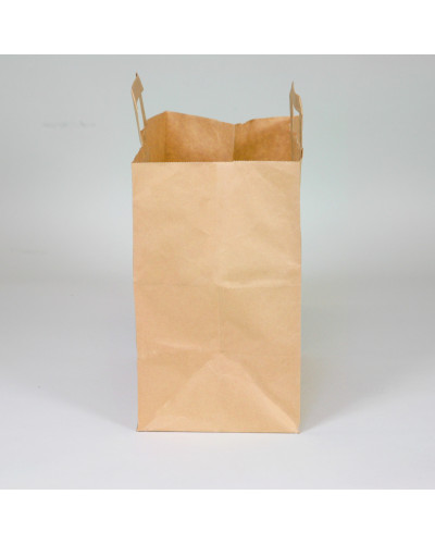 Brown kraft flat handles bag
