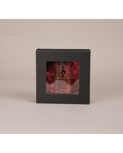 CLEARBOX avec fenêtre
