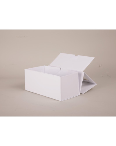 Scatola magnetica CLEARBOX