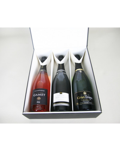 Insert for 3x bottles box