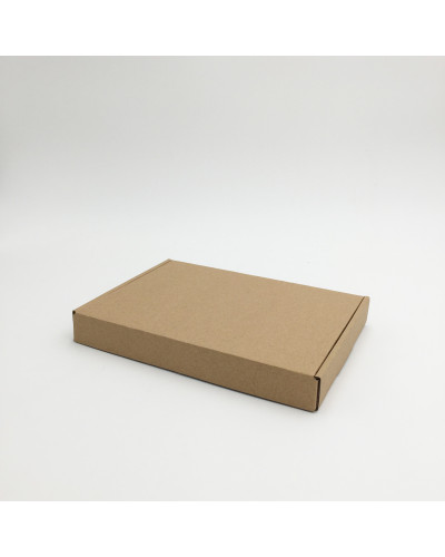 Postpack kraft naturel (ADAPTEE AUX HINGBOX)