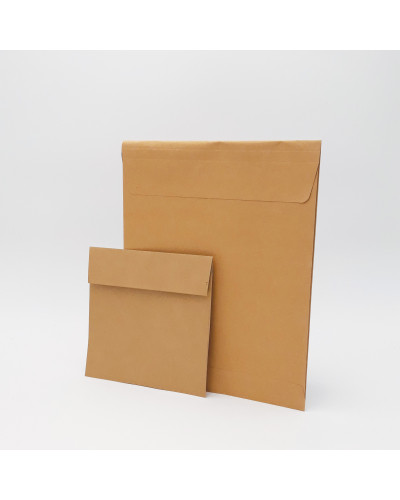 kraft envelop