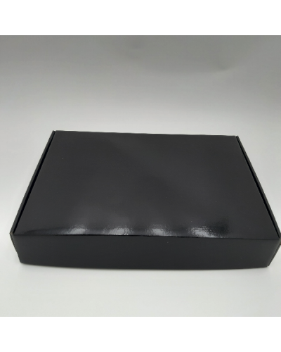 SHIPPING BOX laminated POSTPACK (SUITABLE FOR WONDERBOX AND EVOBOX)