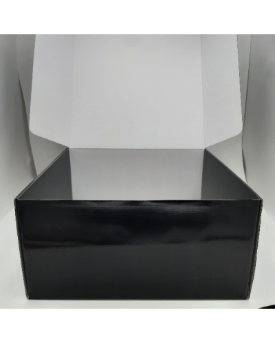 SHIPPING BOX laminated POSTPACK (SUITABLE FOR WONDERBOX AND EVOBOX)