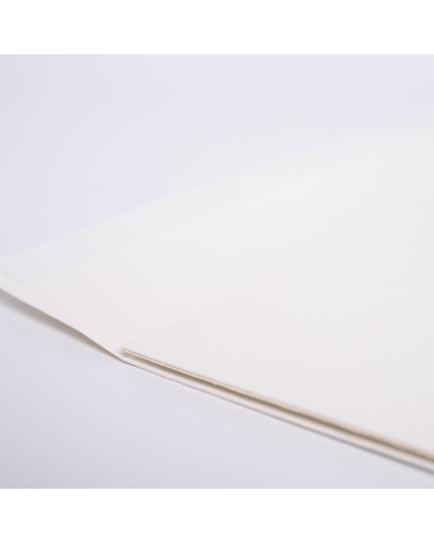Noblesse Basic