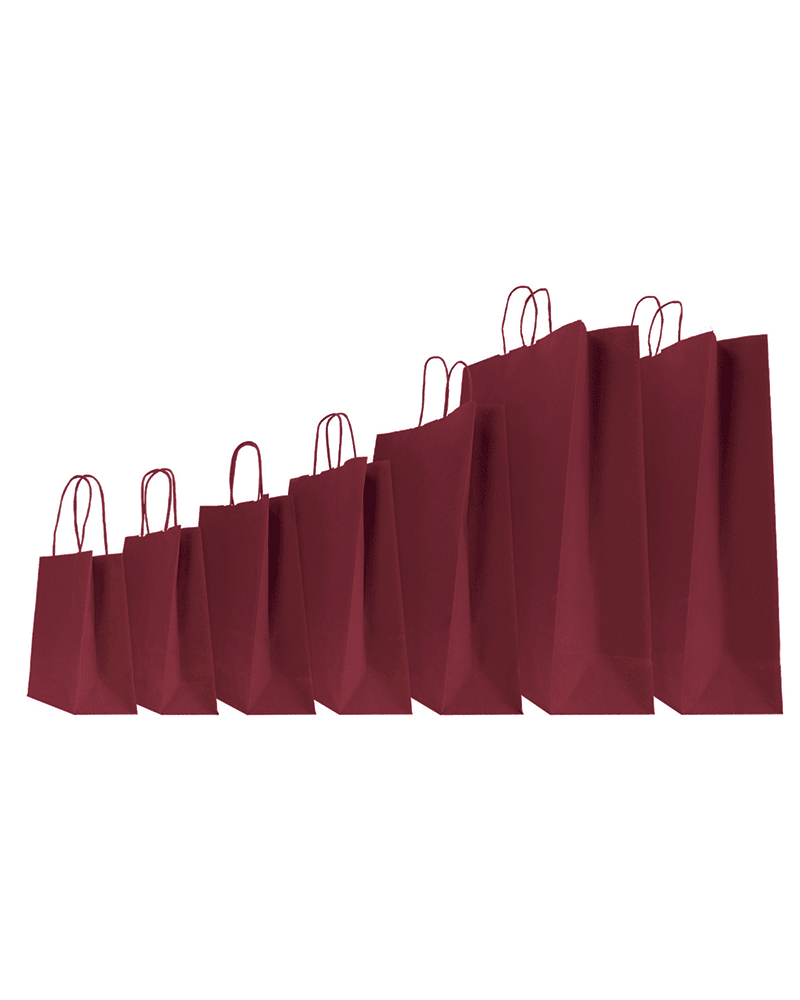 copy of Twisted handles bag