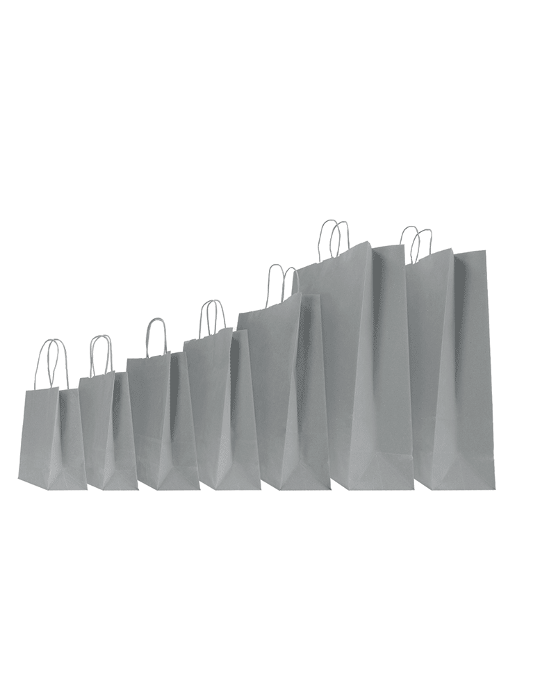 copy of Twisted handles bag