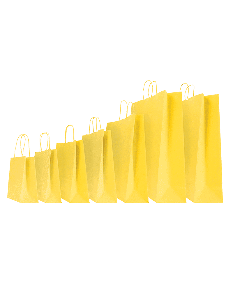 copy of Twisted handles bag