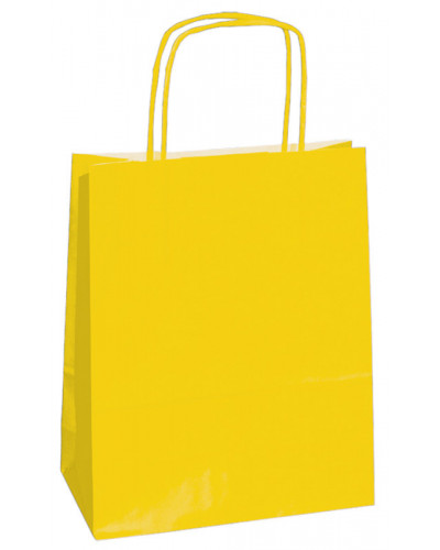 copy of Twisted handles bag
