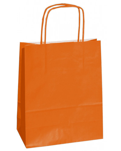 copy of Twisted handles bag