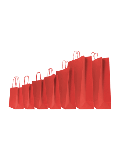 copy of Twisted handles bag