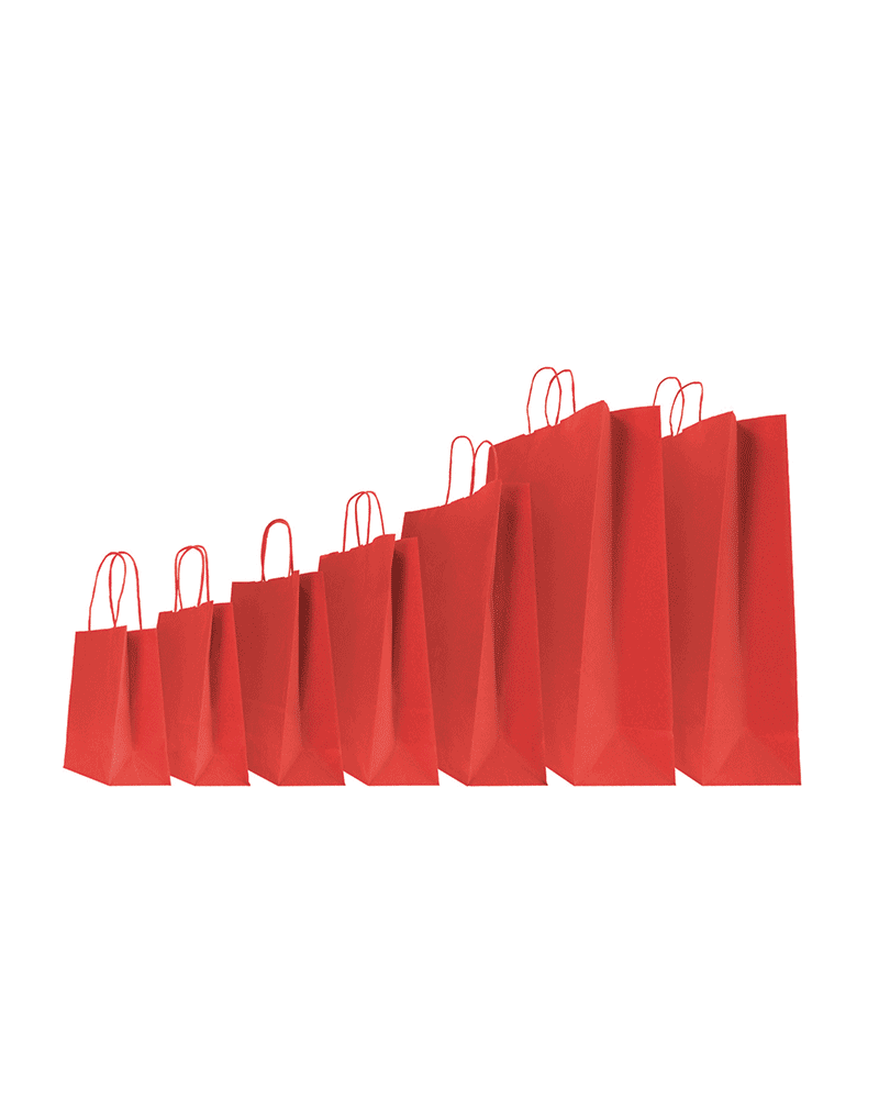 copy of Twisted handles bag