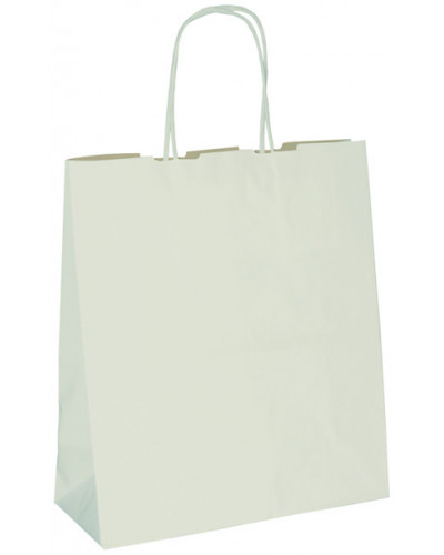 copy of Twisted handles bag