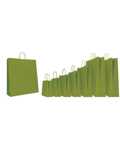 copy of Twisted handles bag