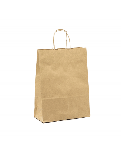 copy of Twisted handles bag