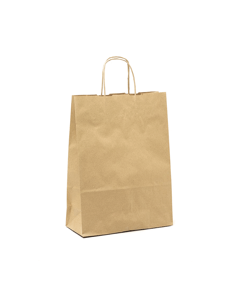 copy of Twisted handles bag