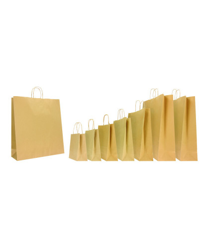 copy of Twisted handles bag