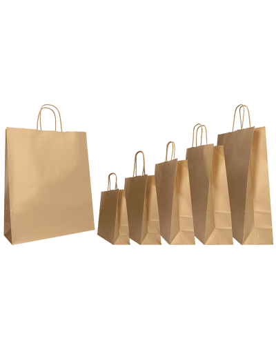 copy of Twisted handles bag