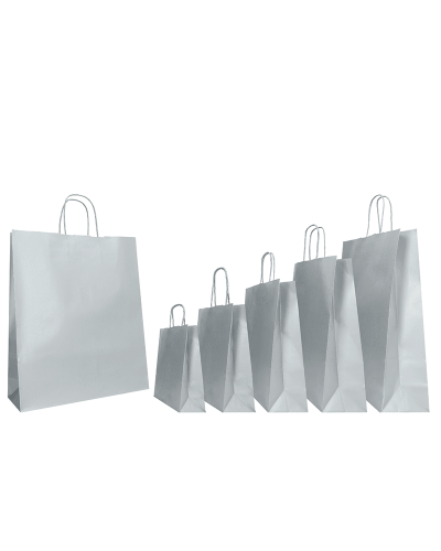 copy of Twisted handles bag