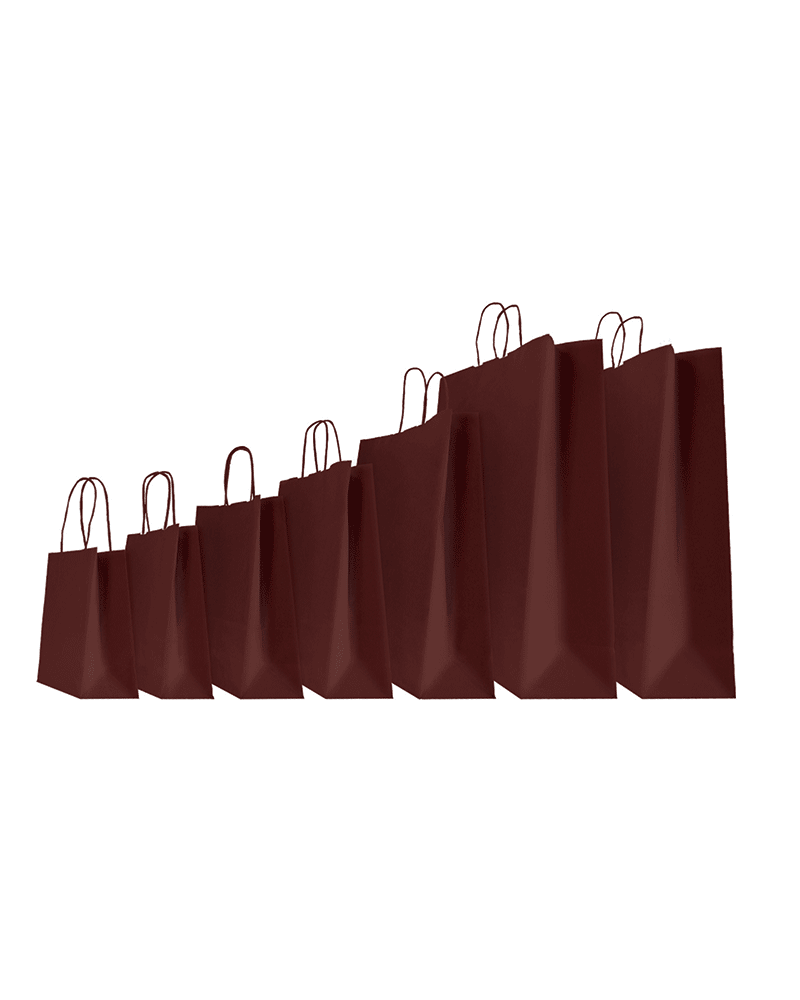 copy of Twisted handles bag