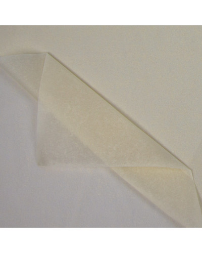 Luxueus zijdepapier wordt geleverd per riem van ± 470 vellen.