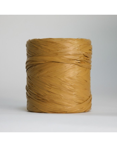 Ruban raphia (12,5mmx200m)