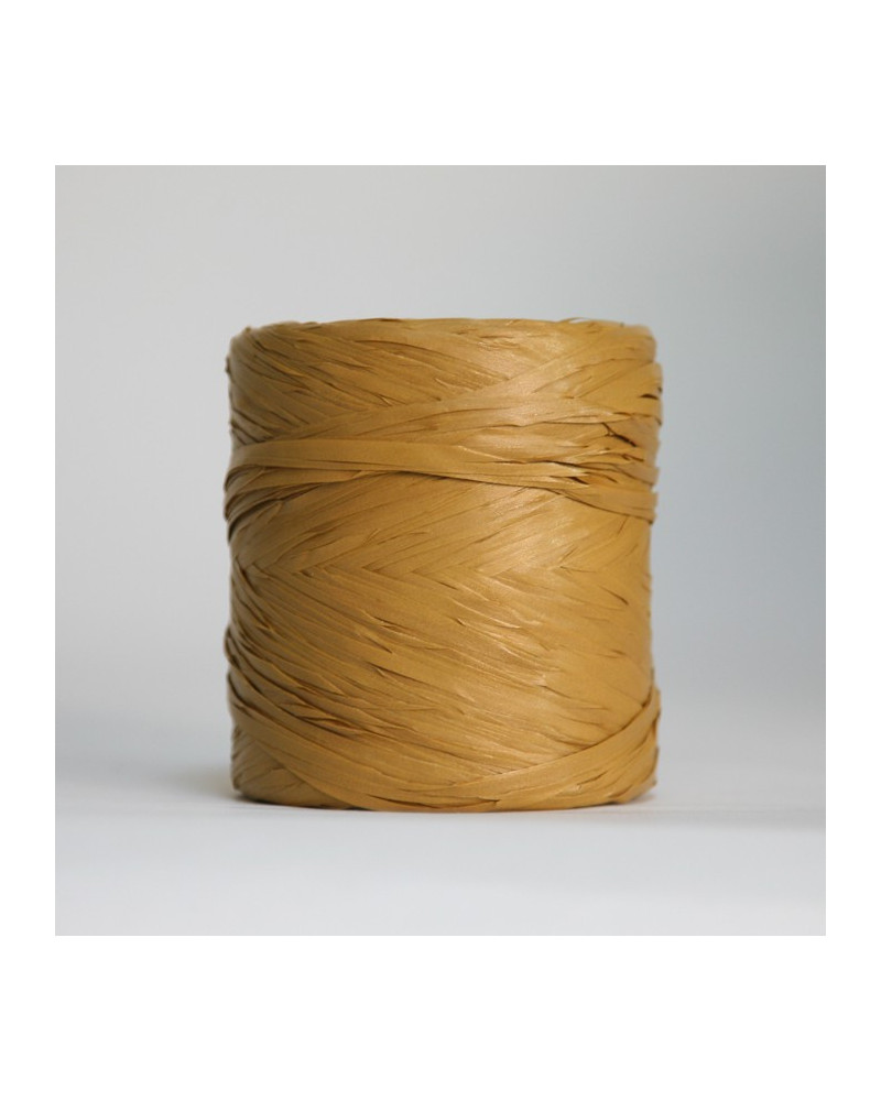 Ruban raphia (12,5mmx200m)