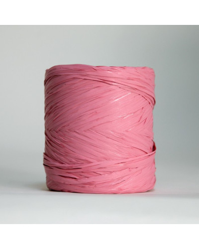 Ruban raphia (12,5mmx200m)