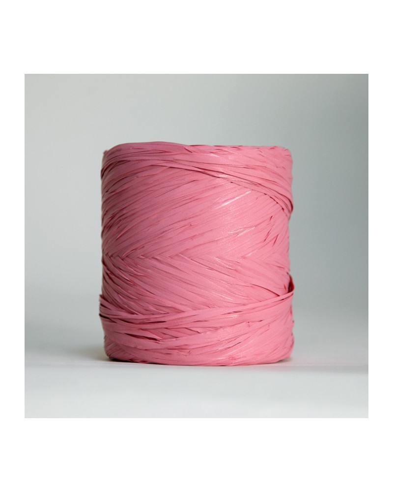 Ruban raphia (12,5mmx200m)