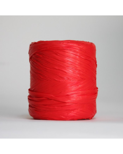 Raffia ribbon
