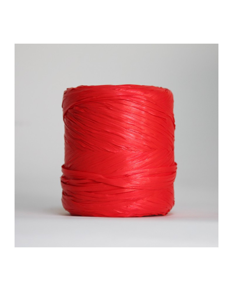 Raffia ribbon