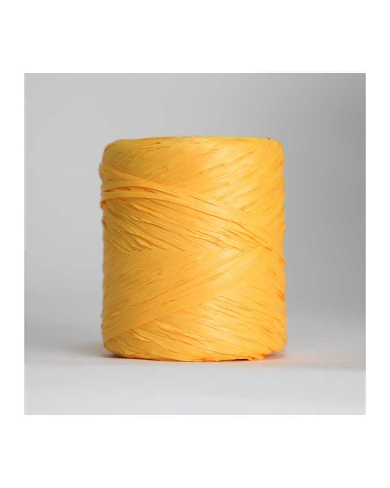 Raffia ribbon