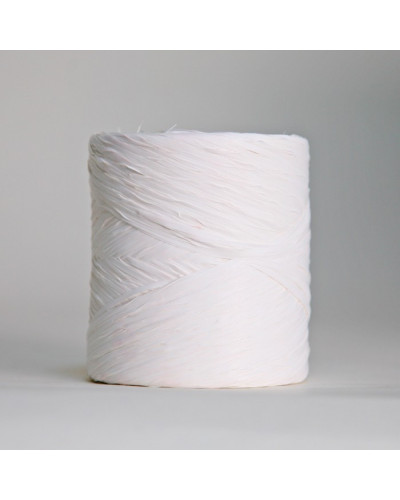 Ruban raphia (12,5mmx200m)