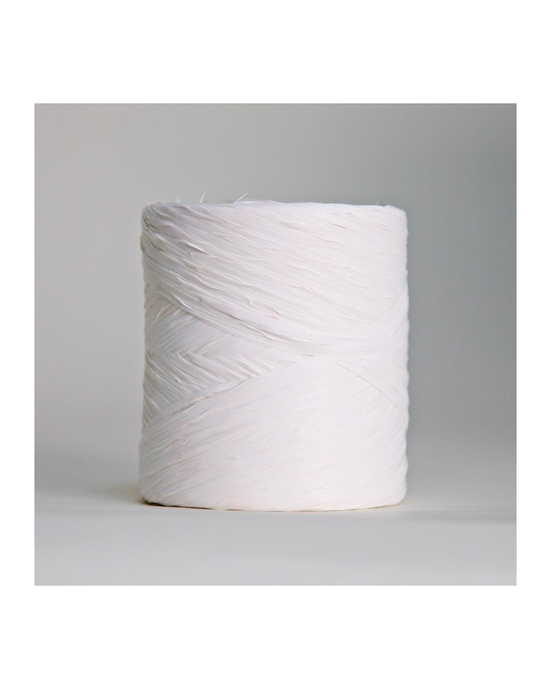 Raffia ribbon
