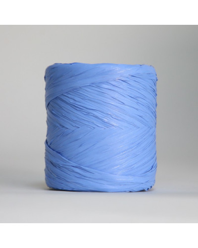 Ruban raphia (12,5mmx200m)